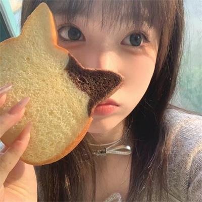 老鼠爱上猫